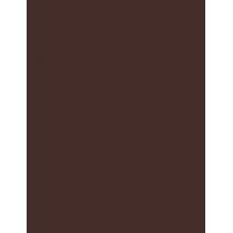 Maybelline Brow Tattoo   4,6G Light Brown   Ženski (Boja Obrva)