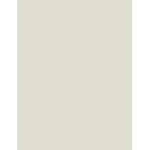 Artdeco Pearl   0,8G 10 Pearly White   Ženski (Sjenilo Za Oci)