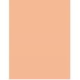 Artdeco Fluid Camouflage Foundation      Warm 24 Golden Beige 20ml(Makeup) Ženski