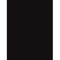 Inebrya Color      1/0 Black 100ml(Hair Color) Unisex