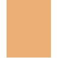 Erborian Super Bb Covering Care-Cream 40Ml  Ženski  (Bb Cream) SPF20 Doré