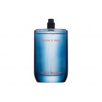 Issey Miyake Fusion D´Issey      100Ml Muški Bez Kutije(Eau De Toilette) Extreme
