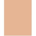 Catrice Camouflage Cream  3G 020 Light Beige   Ženski (Korektor)