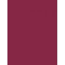 Max Factor Lipfinity Lip Colour  4,2G 055 Sweet   Ženski (Ruž)