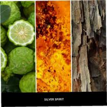 Millefiori Milano Icon 47G Classic  Silver Spirit (Car Air Freshener) Unisex  