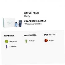Calvin Klein Defy    Edt 100 ml + Shower Gel 100 ml + Edt 10 ml Shower Gel  100ml(Eau de Toilette) Muški