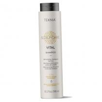 Lakmé Teknia Scalp Care Vital 300Ml Shampoo   (Shampoo) Unisex  