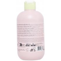 Inebrya Ice Cream Energy 300Ml Shampoo   (Shampoo) Unisex  