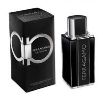 Ferragamo Ferragamo Sublime Leather      100ml(Eau de Parfum) Muški