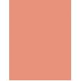Shiseido Colorgel Lip Balm   2G 102 Narcissus   Ženski (Ruž)