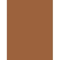 Estée Lauder Bronze Goddess   21G 04 Deep   Ženski (Bronzer)