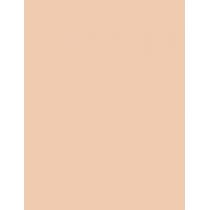 Pupa Professionals Bb Cream + Primer   50Ml 001 Nude  Spf20 Ženski (Bb Krema)
