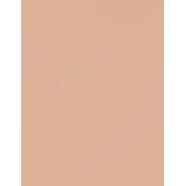 Clinique Beyond Perfecting Powder Foundation + Concealer  14,5G 2 Alabaster   Ženski (Makeup)