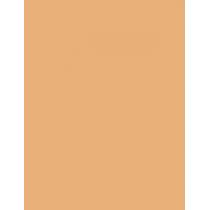 Estée Lauder Double Wear Stay In Place  30Ml 4N1 Shell Beige  Spf10 Ženski (Makeup)