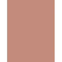 Max Factor Lipfinity Lip Colour  4,2G 160 Iced   Ženski (Ruž)