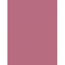 Max Factor Lipfinity Lip Colour  4,2G 020 Angelic   Ženski (Ruž)