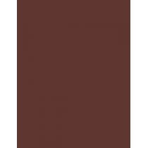 Rimmel London Professional Eyebrow Pencil   1,4G 002 Hazel   Ženski (Olovka Za Obrve)