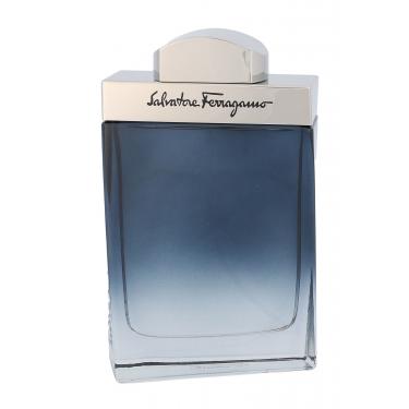 Salvatore Ferragamo Subtil Pour Homme   100Ml    Muški (Eau De Toilette)