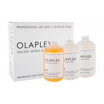 Olaplex Bond Multiplier No. 1 Salon Intro Kit Bond Multiplier No. 1 525 Ml + Bond Perfector No. 2 2 X 525 Ml + Dosing Dispenser 525Ml    Ženski (Serum Za Kosu)