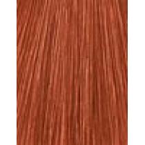 Londa Professional Permanent Colour Extra Rich Cream  60Ml 7/4   Ženski (Boja Kose)