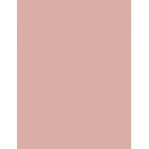 Rimmel London Stay Matte   14G 002 Pink Blossom   Ženski (Puder)