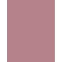 Sisley Phyto Lip Twist  2,5G 1 Nude   Ženski (Balzam Za Usne)