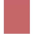 L'Oréal Paris Color Riche Lipcolour  3,6G 235 Nude   Ženski (Ruž)