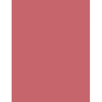L'Oréal Paris Color Riche Lipcolour  3,6G 235 Nude   Ženski (Ruž)