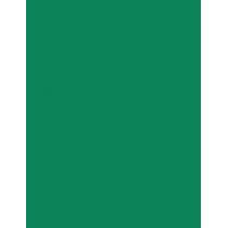 Fanola Color Mask   200Ml Clover Green   Ženski (Boja Kose)