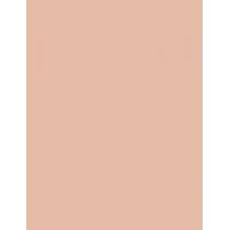 Clinique Beyond Perfecting Powder Foundation + Concealer  14,5G 0.5 Brezee   Ženski (Makeup)