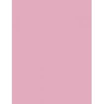 Sally Hansen Miracle Gel   14,7Ml 160 Pinky Promise   Ženski (Lak Za Nokte)