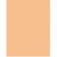 Estée Lauder Double Wear Maximum Cover  30Ml 2W1 Dawn  Spf15 Ženski (Makeup)