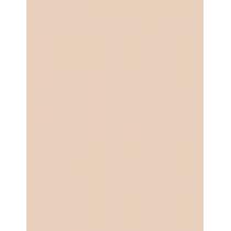 Missha M Perfect Cover BB Cream EX  SPF42   No.21 Light Beige 20ml(BB Cream) Ženski