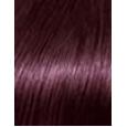L'Oréal Paris Casting Creme Gloss  48Ml 316 Plum(Boja Kose)