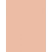 Revlon Colorstay   8,4G 840 Medium   Ženski (Puder)