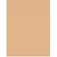 TIRTIR Mask Fit Red Cushion      27C Cool Beige 18g(Makeup) Unisex