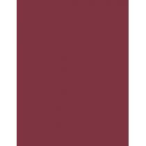 Sally Hansen Insta-Dri 9,17Ml    (Nail Polish) Ženski  413 Expresso