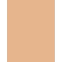 Clarins Everlasting Foundation   30Ml 110N Honey   Ženski (Makeup)