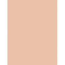 Max Factor Lasting Performance   35Ml 101 Ivory Beige   Ženski (Makeup)