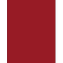 Maybelline Superstay Vinyl Ink Liquid  4,2Ml 10 Lippy   Ženski (Ruž)