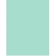 TIRTIR My Glow Lip Oil      Mint 5,7ml(Lip Oil) Unisex