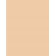 Revlon Colorstay Combination Oily Skin  30Ml 200 Nude  Spf15 Ženski (Makeup)