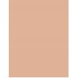Shiseido Sun Protection Tanning Compact Foundation  SPF10   Natural 12g(Makeup) Ženski