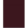 Inebrya Bionic Color      5/5 Light Chestnut Mahogany 100ml(Hair Color) Unisex