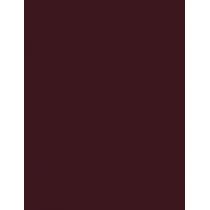 Inebrya Bionic Color      5/5 Light Chestnut Mahogany 100ml(Hair Color) Unisex