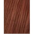 Wella Professionals Koleston Perfect Me+ Vibrant Reds  60Ml 6/43   Ženski (Boja Kose)