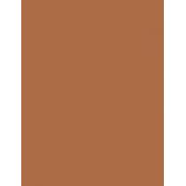 Rimmel London Kind & Free 30Ml Blur It Out Mattifying Skin Tint   (Makeup) Ženski  510 Cinnamon