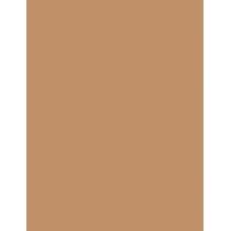 Estée Lauder Double Wear Stay In Place  30Ml 4N2 Spiced Sand  Spf10 Ženski (Makeup)