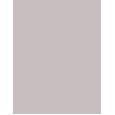 Inebrya Color      10/11 Blonde Platinum Intense Ash 100ml(Hair Color) Unisex