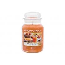 Yankee Candle Farm Fresh Peach   623G    Unisex (Mirisna Svijeca)